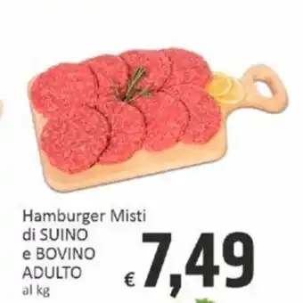 Paghi Poco Hamburger Misti di SUINO e BOVINO ADULTO offerta