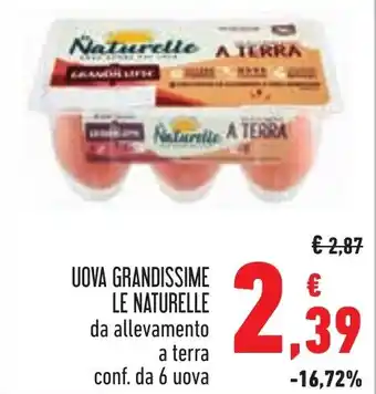 Conad UOVA GRANDISSIME LE NATURELLE da allevamento a terra conf. da 6 uova offerta