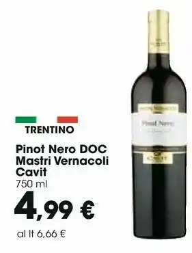 Pinto nero doc mastri vernacoli