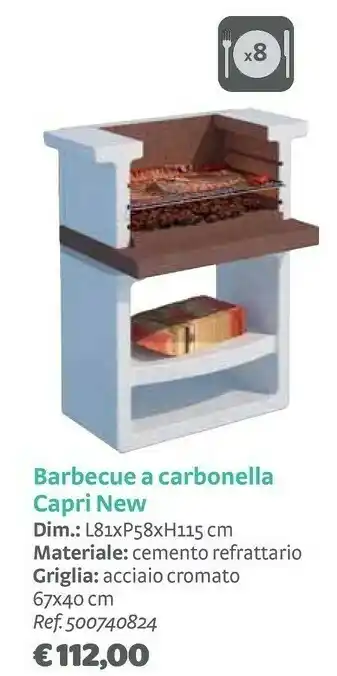 Bricocenter Capri new barbecue a carbonella offerta