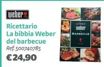 Bricocenter Ricettario la bibbia del barbecue offerta