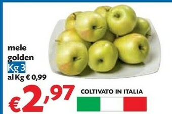 Pam Mele golden offerta