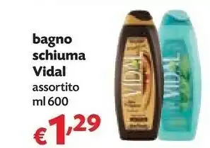Panorama Bagno schiuma offerta