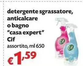 Detergente sgrassatore, anticalcare o bagno casa expert