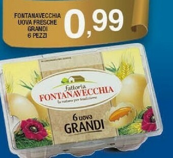 Sigma Fontanavecchia uova fresche grandi offerta