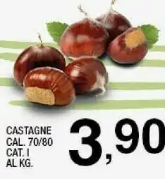 Ok Sigma Castagne offerta