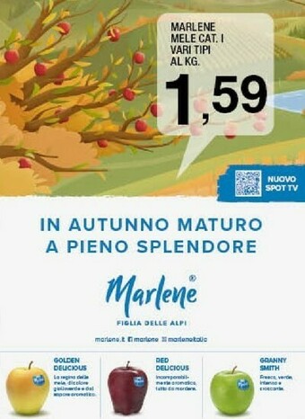 Ok Sigma Mele offerta