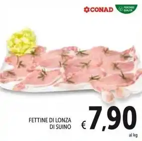 Spazio Conad FETTINE DI LONZA DI SUINO offerta