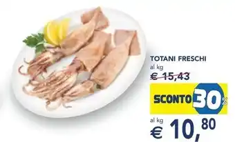 Esselunga TOTANI FRESCHI offerta