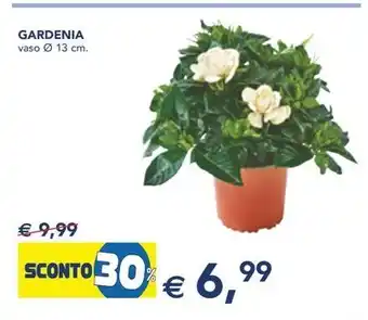 Esselunga GARDENIA vaso 13 cm. offerta