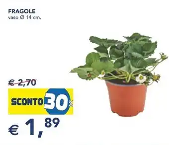 Esselunga FRAGOLE offerta