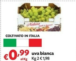 Pam Uva bianca offerta