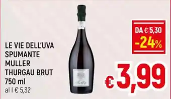 A&O LE VIE DELL'UVA SPUMANTE MULLER THURGAU BRUT 750 ml offerta