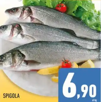 Conad SPIGOLA offerta