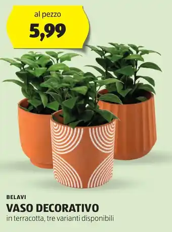 ALDI BELAVI VASO DECORATIVO offerta