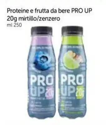 Galassia Proteine e frutta da bere PRO UP 20g mirtillo/zenzero ml 250 offerta