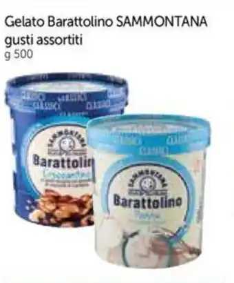 Galassia Gelato Barattolino SAMMONTANA gusti assortiti g 500 offerta