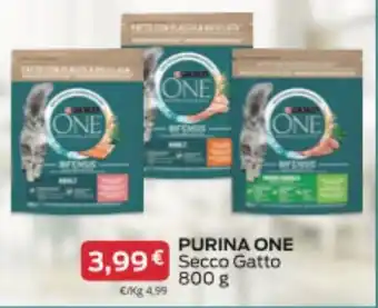 Supermercati Visotto PURINA ONE Secco Gatto 800 g offerta