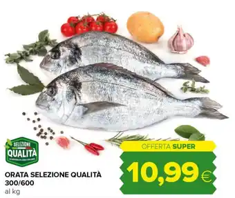 Tigre ORATA SELEZIONE QUALITÀ 300/600 offerta