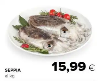 Tigre SEPPIA offerta