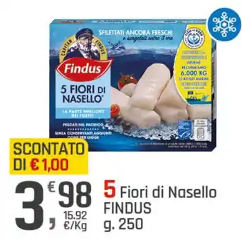 Supermercati Dok Fiori di Nasello FINDUS g 250 offerta