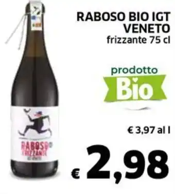 Ecu Discount RABOSO BIO IGT VENETO frizzante 75 cl offerta