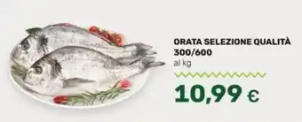 Oasi ORATA SELEZIONE QUALITÀ 300/600 offerta