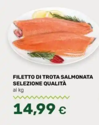 Oasi FILETTO DI TROTA SALMONATA SELEZIONE QUALITÀ offerta