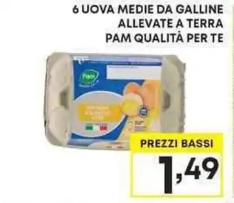 Pam 6 UOVA MEDIE DA GALLINE ALLEVATE A TERRA PAM QUALITÀ PER TE offerta