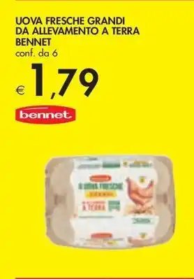 Bennet UOVA FRESCHE GRANDI DA ALLEVAMENTO A TERRA BENNET offerta