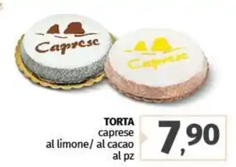 TORTA caprese al limone/ al cacao