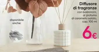Diffusore di fragranze con bastoncini