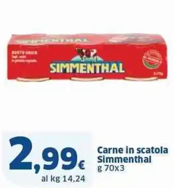 Sigma Carne in scatola Simmenthal g 70 x 3 offerta