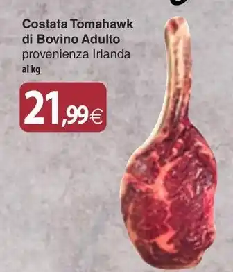 Docks Cash&Carry Speciale Griglia Tutto Costata Tomahawk di Bovino Adulto provenienza Irlanda offerta