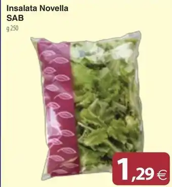 Docks Cash&Carry Insalata Novella SAB offerta