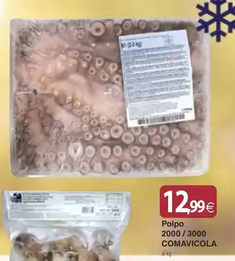 Docks Cash&Carry Polpo 2000 / 3000 COMAVICOLA offerta