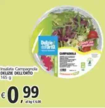 Alter Discount Insalata Campagnola DELIZIE DELL'ORTO 165 g offerta