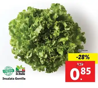 Lidl Insalata Gentile offerta