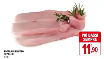 Iperal SOTTILI DI FILETTO DI POLLO al kg offerta