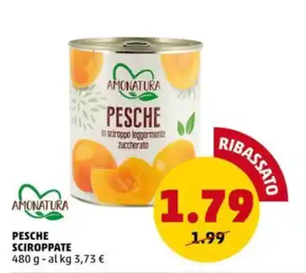 PENNY AMONATURA PESCHE SCIROPPATE 480 g offerta