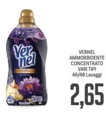 Supermercati Piccolo VERNEL AMMORBIDENTE CONCENTRATO VARI TIPI 46/48 Lavaggi offerta