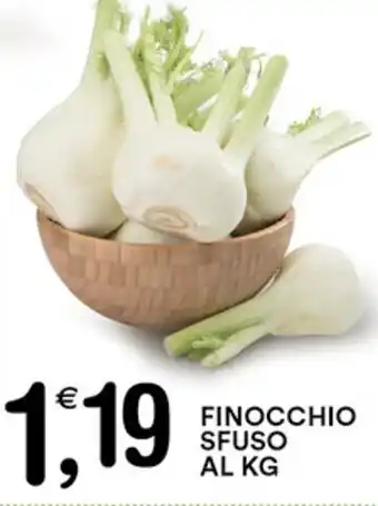 Gecop FINOCCHIO SFUSO offerta