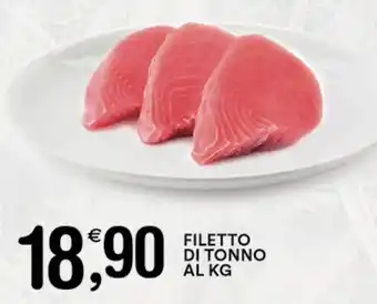 Gecop FILETTO DI TONNO offerta