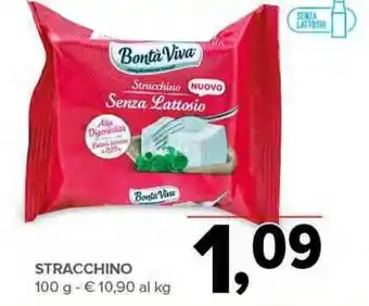 Todis STRACCHINO 100 g offerta