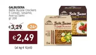 Prezzemolo e Vitale GALBUSERA Belle Buone Crackers 5 Cereali, Sesamo, Avena/Semi gr 200 offerta