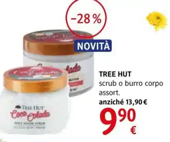 dm drogerie markt TREE HUT scrub o burro corpo assort. offerta