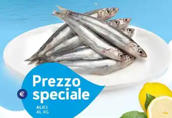 Extra Supermercati ALICI offerta