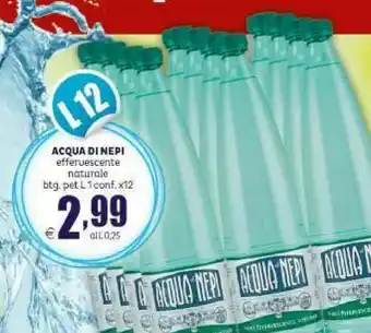 Elite Acqua di nepi - acqua minerale naturale effervescente 1000 g(ml) offerta
