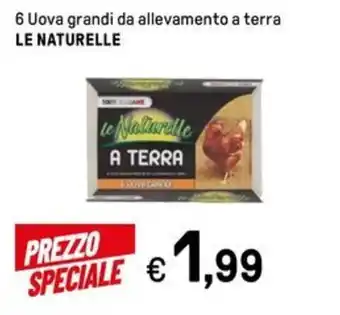 Iper La Grande 6 Uova grandi da allevamento a terra LE NATURELLE offerta