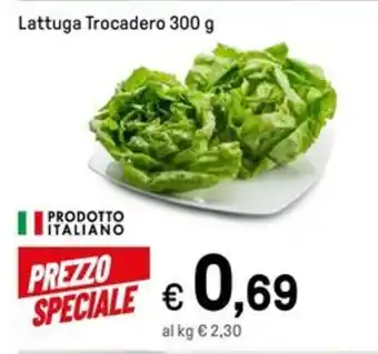 Iper La Grande Lattuga Trocadero 300 g offerta